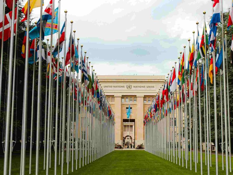 






  

AVOCATS.BE, certifié en entrepreneuriat durable dans le cadre UNITAR (ONU)
  


