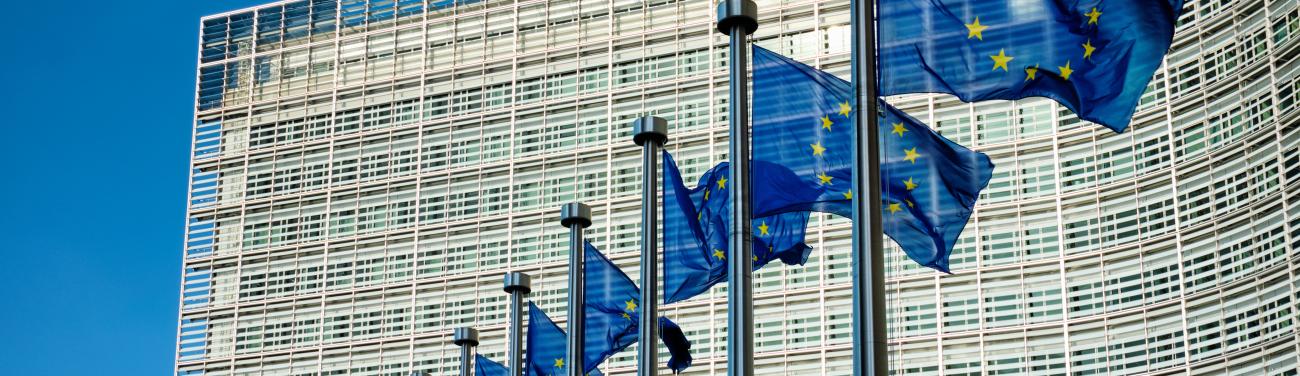 Bannière