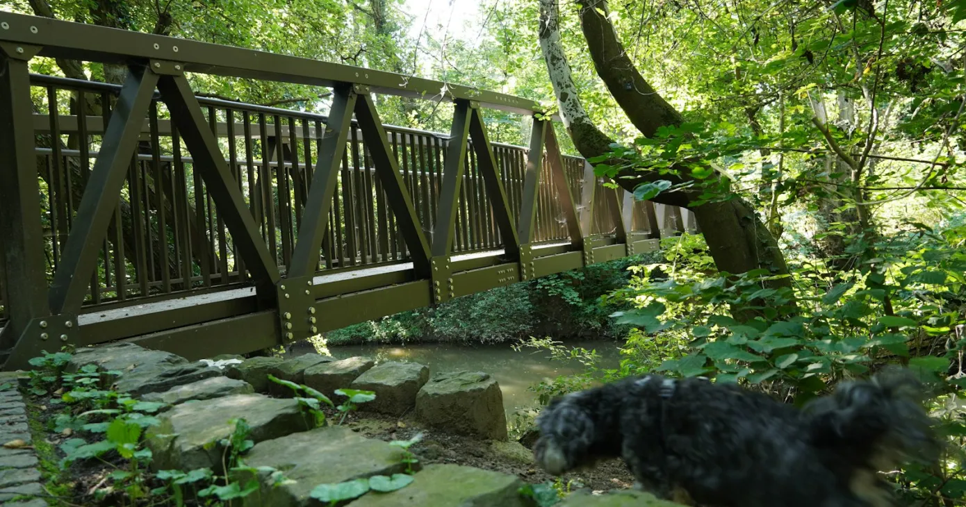 Passerelle en bois au-dessus d’un ruisseau en forêt